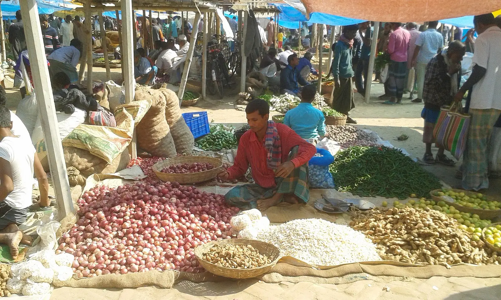 A vendor sitting among mounds of onions, garlic, ginger and green chillies at a busy village market in Bangladesh.